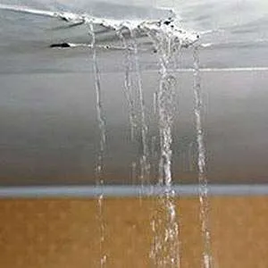 Moisture and Water Leaks